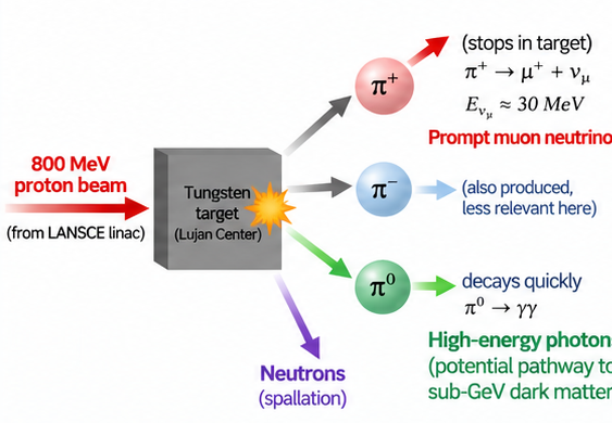Diagram of the LANSCE proton beam striking the tungsten target and producing neutrons, charged pions, neutral pions and prompt muon neutrinos