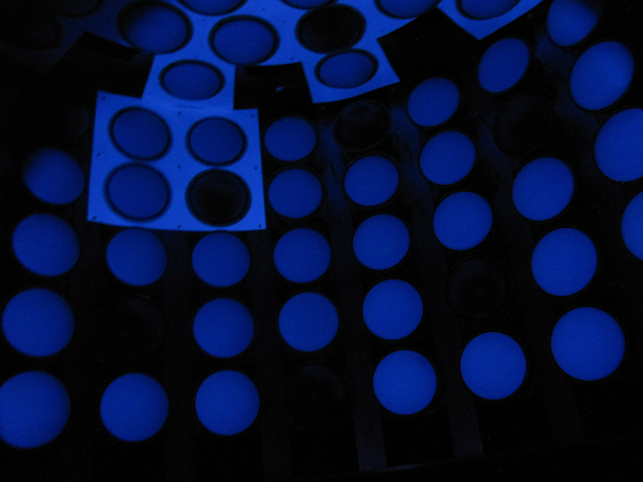 Inside CCM during PMT integration and optical testing